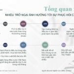 Căn Hộ Chung Cư TPHCM 2023-Đánh Giá Hiện Tại & Dự Đoán Đến 2025