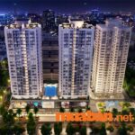 Mua Bán Căn Hộ Quận 10 Chính Chủ, Giá Tốt T11/2023