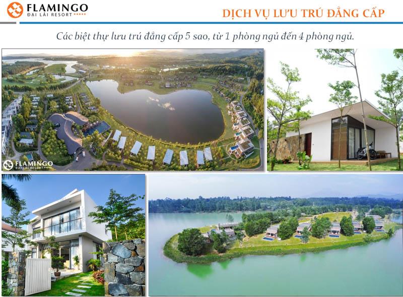 co nen dau tu flamigo dai lai resort