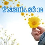 Số 12 có ý nghĩa gì? Luận giải nghĩa số 12 đầy đủ nhất