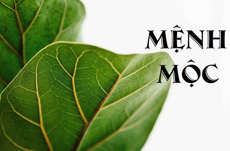 mệnh mộc hợp đá phong thủy màu gì