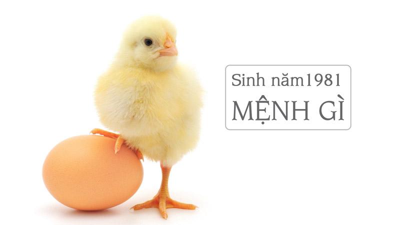 sinh năm 1981 mệnh gì