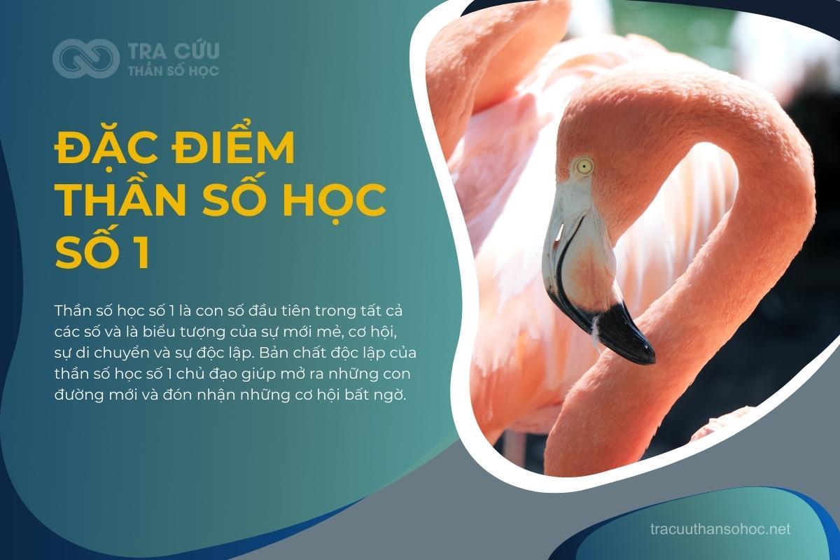 THẦN SỐ HỌC SỐ 1