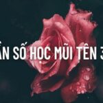 Giải mã thần số học mũi tên 369: Trí Tuệ hay Trí nhớ ngắn hạn