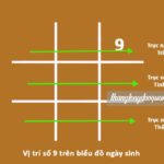 Ý nghĩa con số 9 trong biểu đồ ngày sinh Thần số học