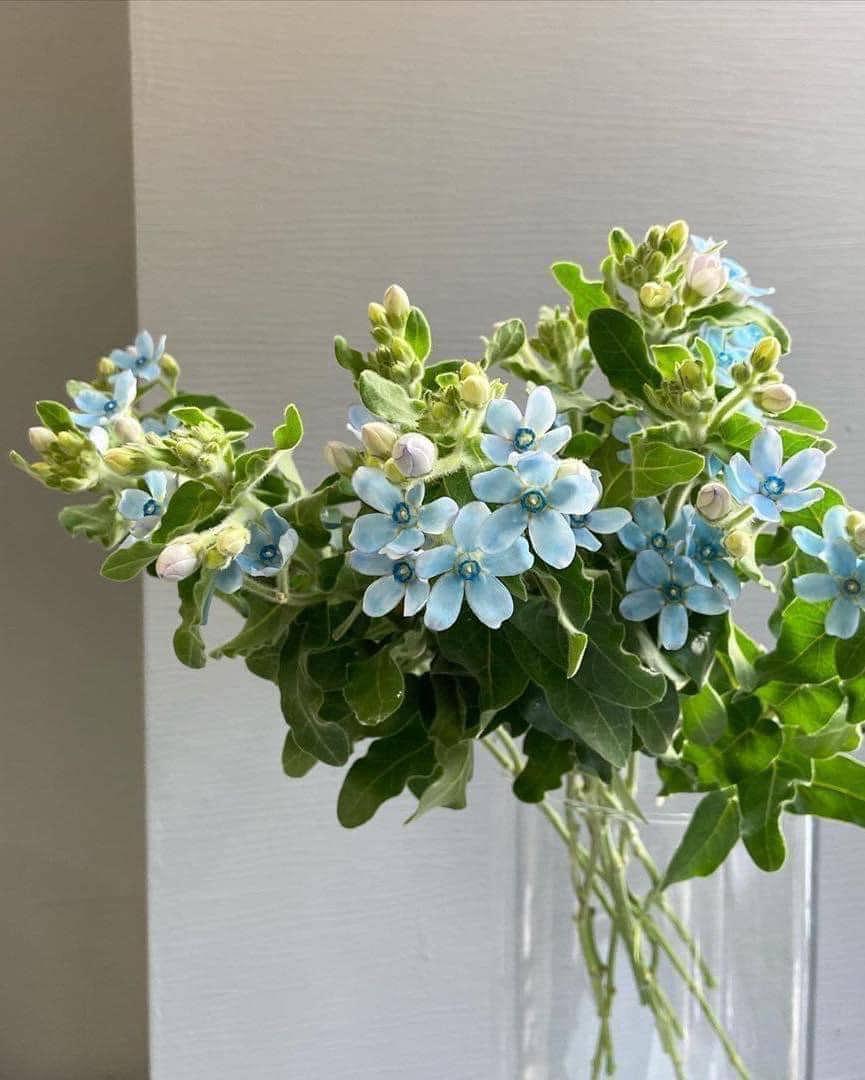 Tử vi hôm nay 10/5/2022 của 12 cung hoàng đạo - Ảnh 1