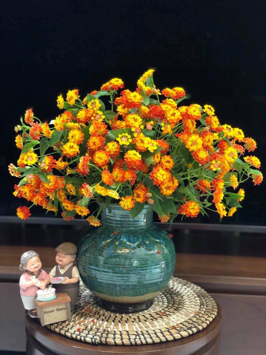 Tử vi hôm nay 13/4/2023 của 12 cung hoàng đạo - Ảnh 1