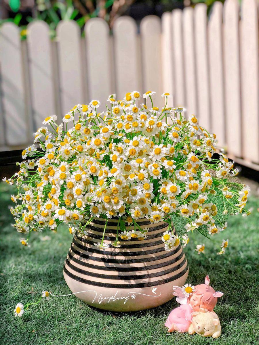 Tử vi hôm nay 14/6/2022 của 12 cung hoàng đạo - Ảnh 1