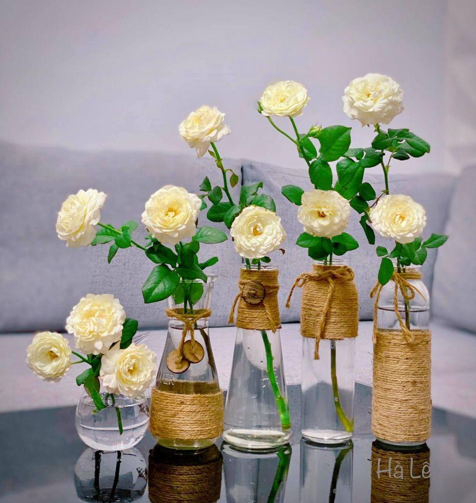 Tử vi hôm nay 19/1/2023 của 12 cung hoàng đạo - Ảnh 1