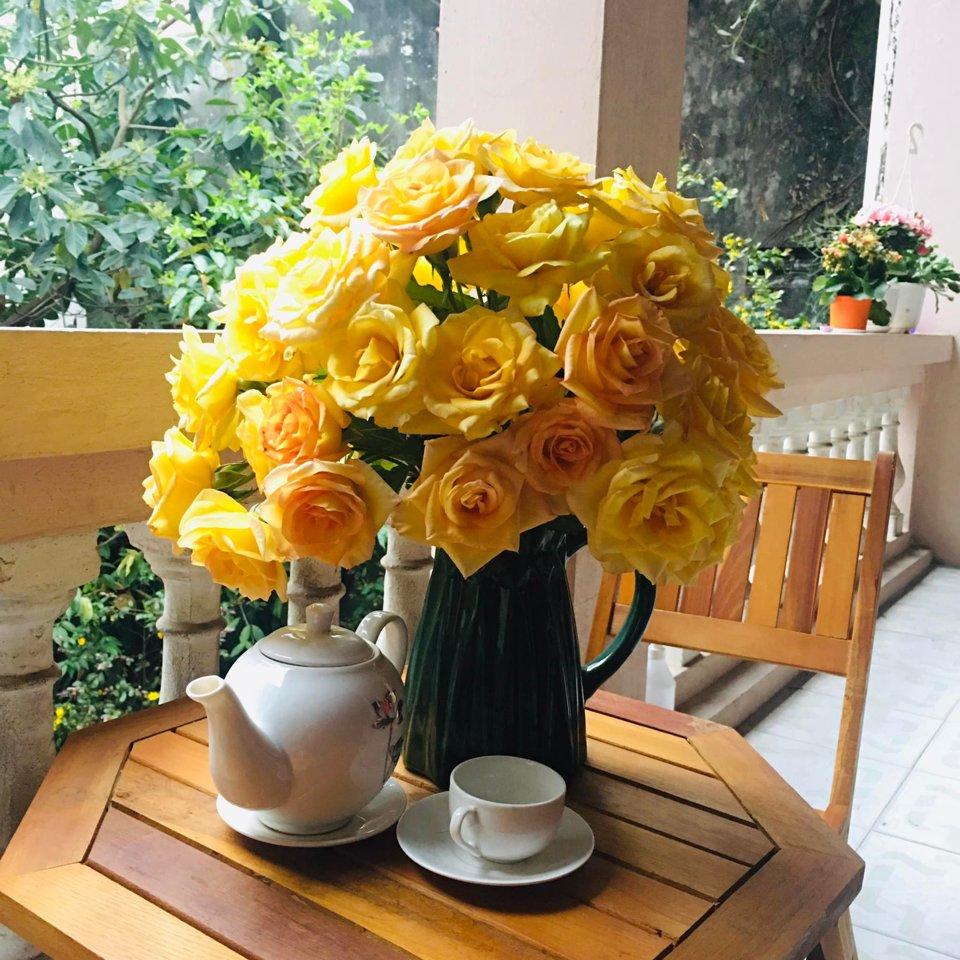 Tử vi hôm nay 19/4/2022 của 12 cung hoàng đạo - Ảnh 1