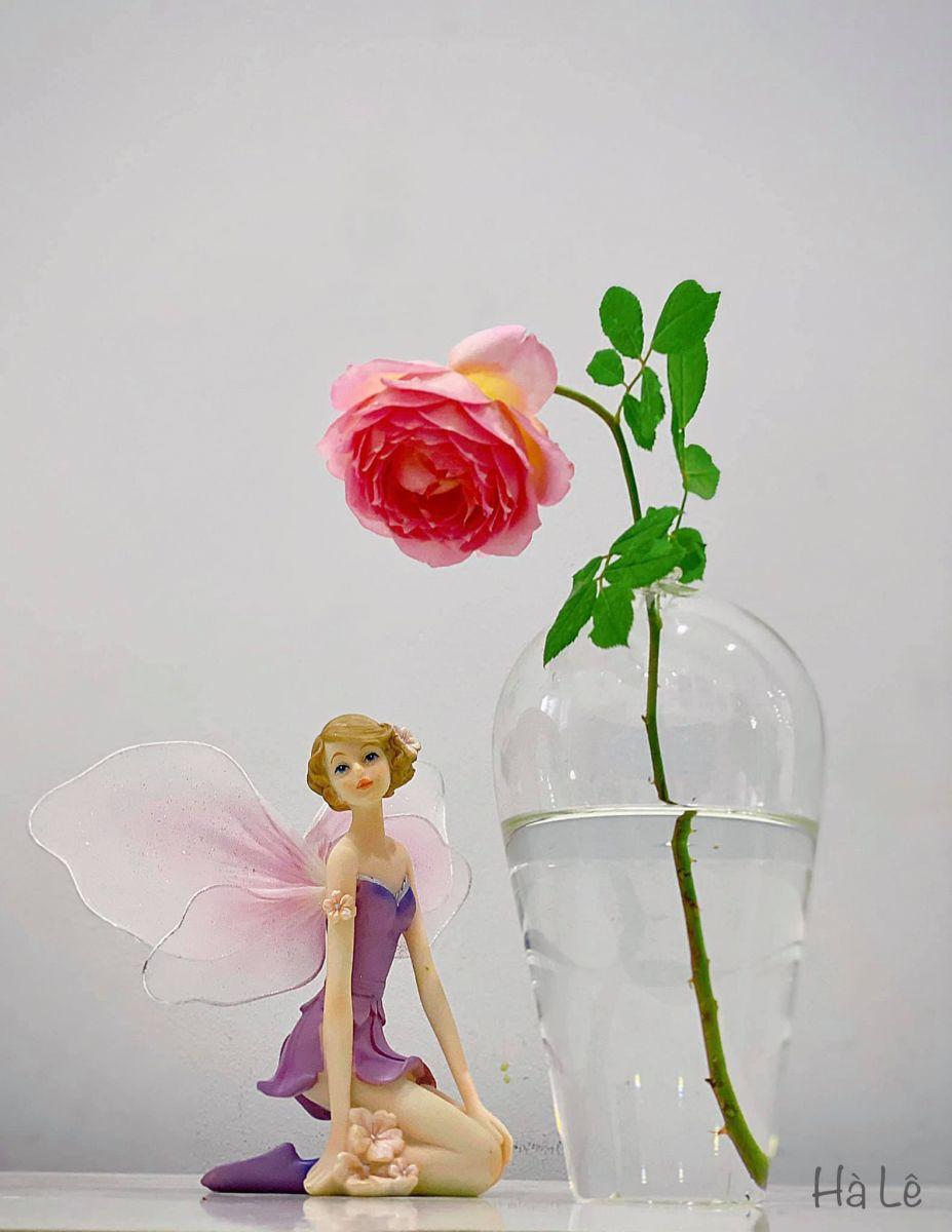 Tử vi hôm nay 30/12/2022 của 12 cung hoàng đạo - Ảnh 1