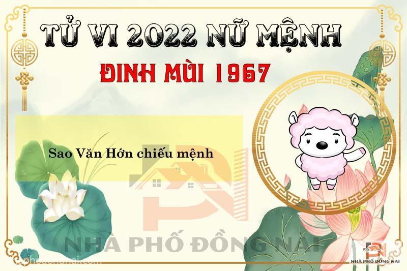 sao-chieu-menh-tuoi-1967-dinh-mui-nam-2022-nu-menh