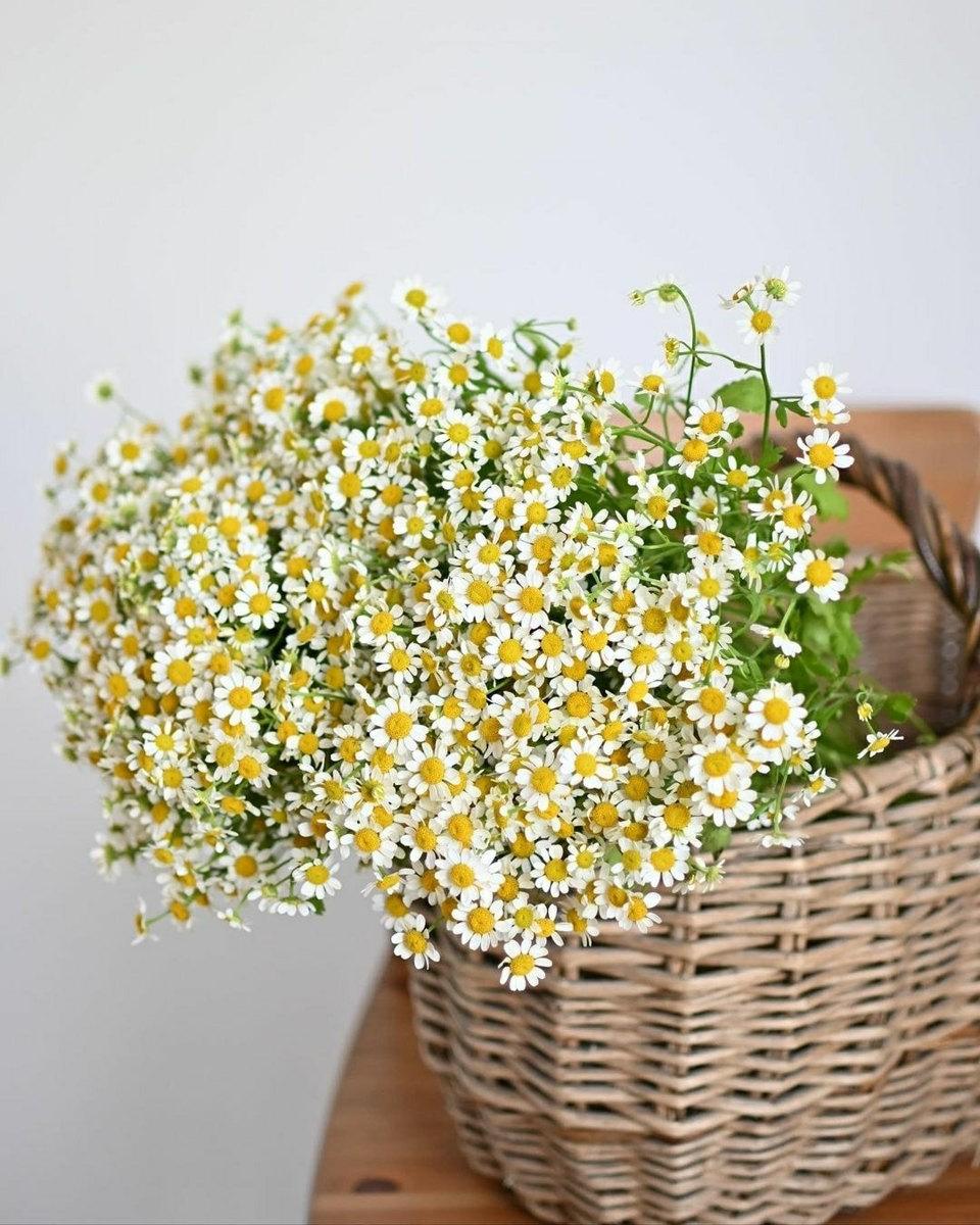 Tử vi hôm nay 20/7/2022 của 12 cung hoàng đạo - Ảnh 1