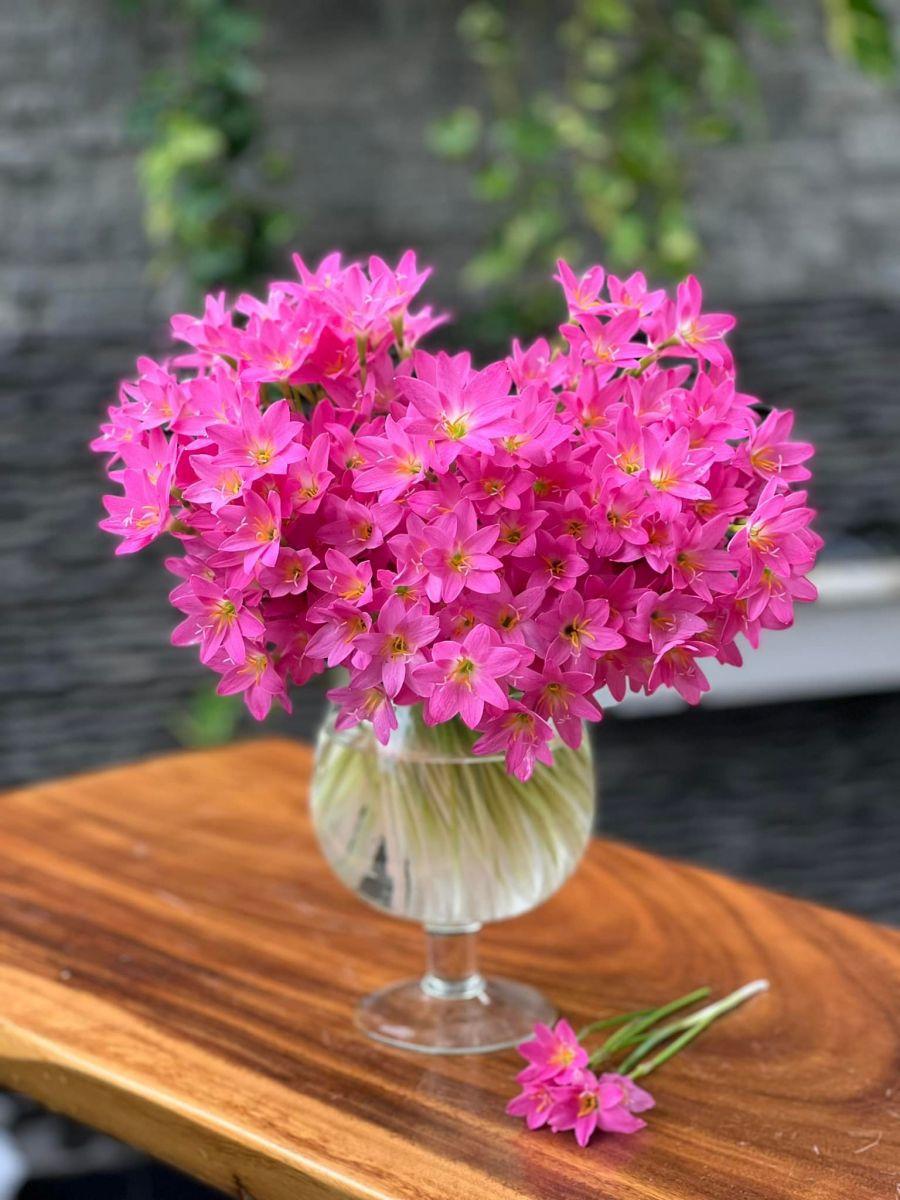 Tử vi hôm nay 23/12/2022 của 12 cung hoàng đạo - Ảnh 1