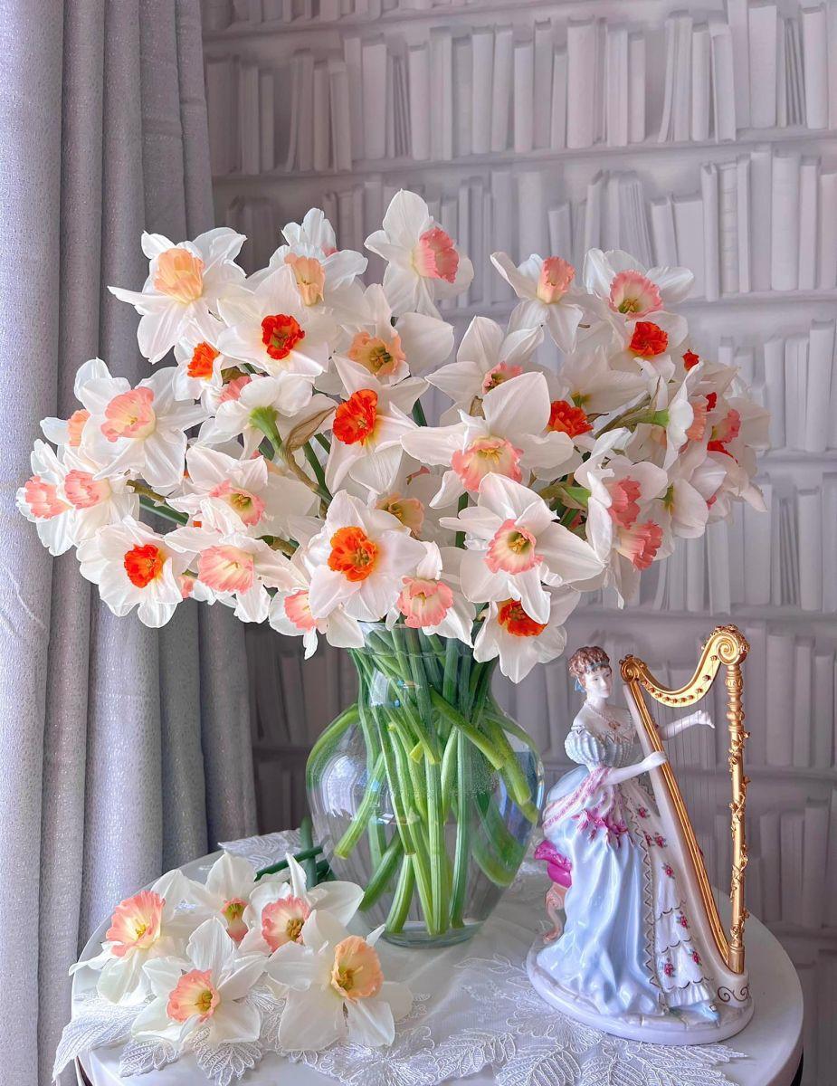 Tử vi hôm nay 3/6/2022 của 12 cung hoàng đạo - Ảnh 1