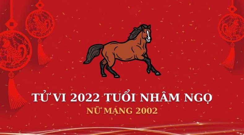 Nhâm Ngọ 2002 trong năm Nhâm Dần 2022