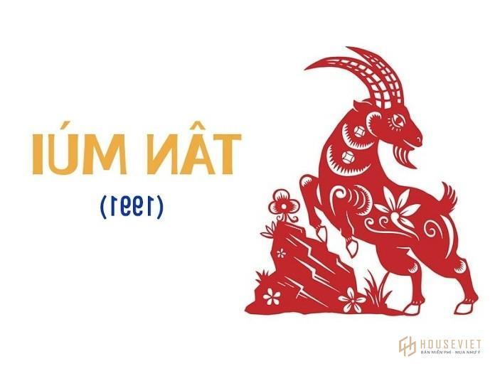 tu-vi-tuoi-tan-mui-1991-1-1648720390.jpg