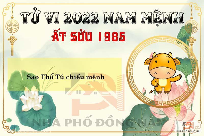 sao-chieu-menh-tuoi-1985-at-suu-nam-2022-nam-menh