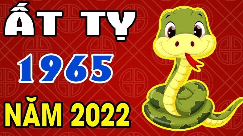 Tử vi Ất Tỵ 1965 năm 2022
