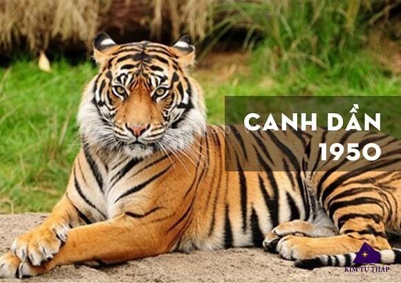 Nữ giới tuổi Canh Dần 1950 cầm tinh con Hổ, là người rất độc lập và cá tính