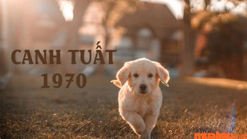 Tử vi trọn đời người tuổi Tuất 1970 chi tiết, chính xác nhất