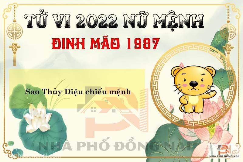 tu-vi-2022-tuoi-dinh-mao-1987-nu-mang