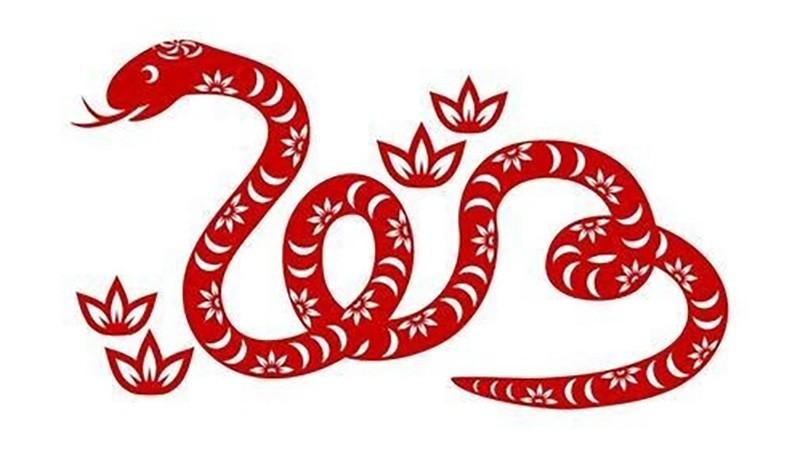 tuổi tỵ