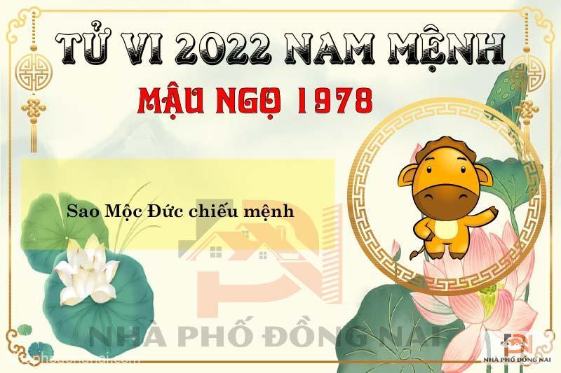 sao-chieu-menh-tuoi-1978-mau-ngo-nam-2022-nam-menh