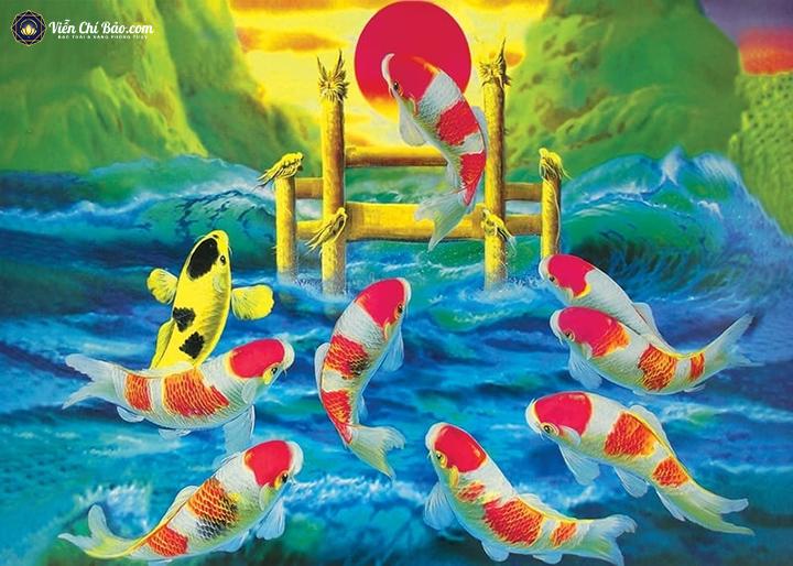 y-nghia-ca-chep-phong-thuy