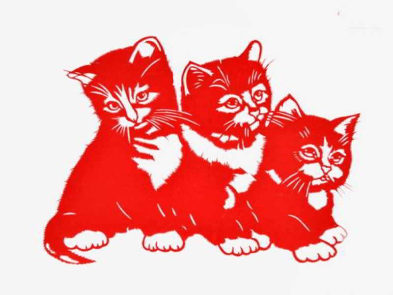 Những vật phẩm phong thủy hợp với người tuổi Mão