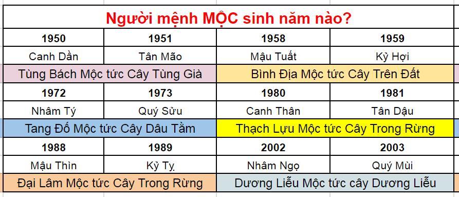 5 VÒNG TAY PHONG THỦY MỆNH MỘC GIÚP THU HÚT TÀI LỘC