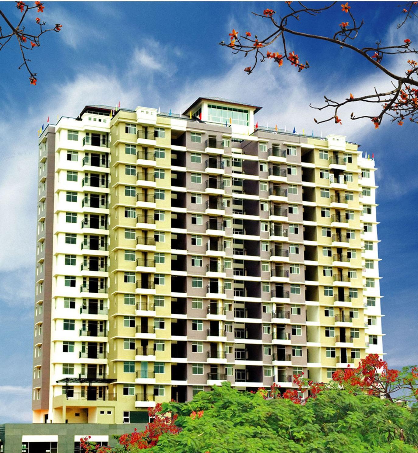 tong quan cao oc binh minh 2