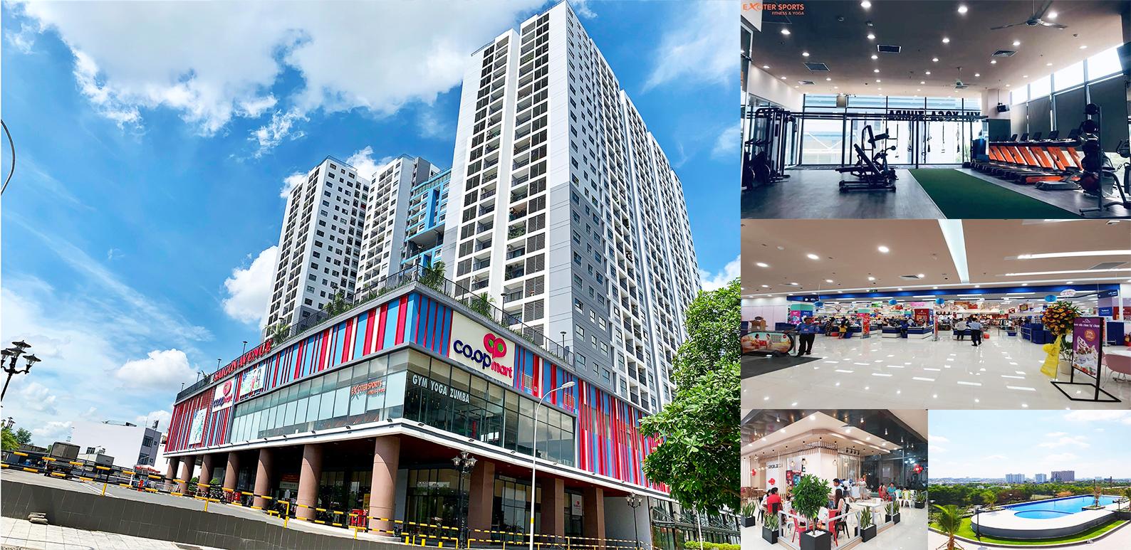 căn hộ sài gòn avenue