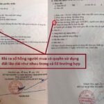 Sổ hồng lâu dài là gì? Phân biệt sổ hồng 50 năm và sổ hồng dài hạn