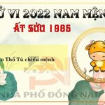 Xem Tử Vi Tuổi Ất Sửu 1985 Năm 2022 Nam Mạng