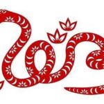 Tử vi 2022, xem tử vi tuổi Tỵ năm Nhâm Dần mới nhất: Cuộc sống viên mãn