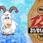 Tử vi hôm nay, xem tử vi 12 con giáp 31/1/2022: Tuổi Mùi cần đầu tư kiến thức