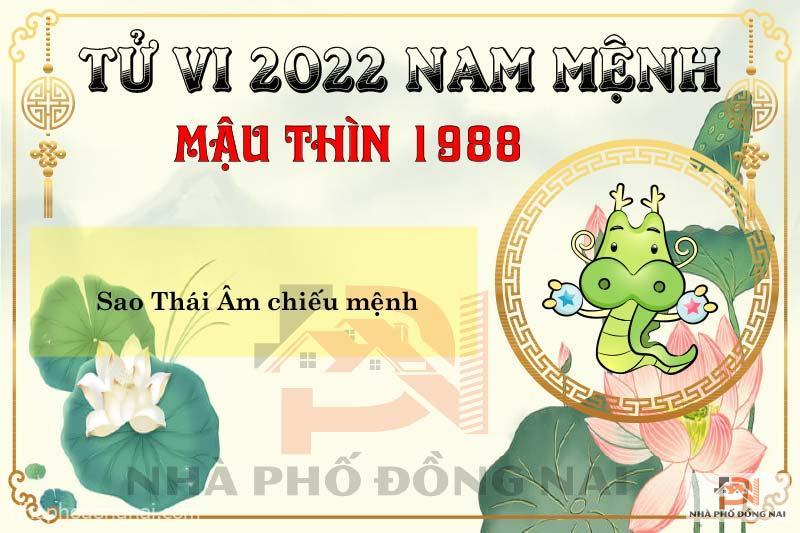 sao-chieu-menh-tuoi-1988-mau-thin-nam-2022-nam-menh