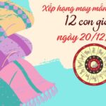 Xếp hạng may mắn của 12 con giáp ngày 20/12/2023: 1 ngày có nhiều biến động với 12 con giáp