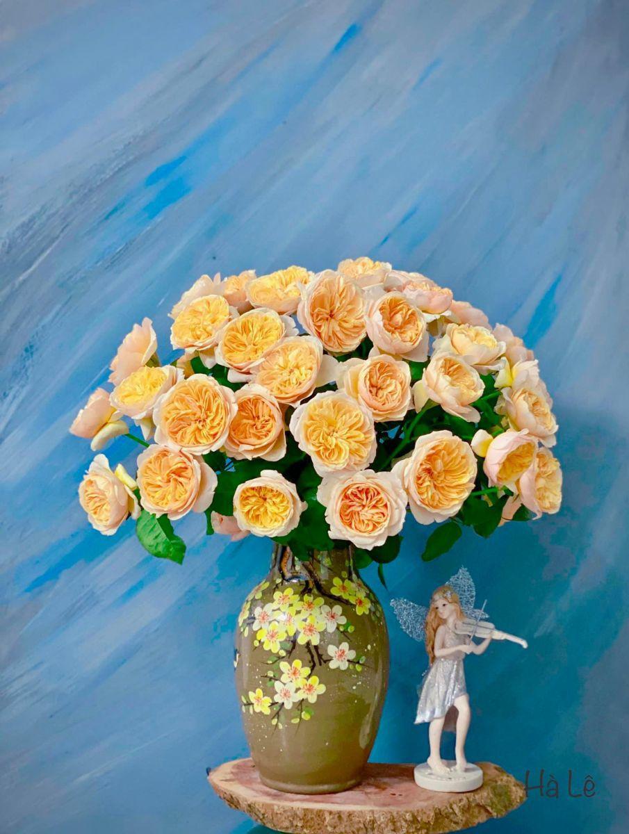 Tử vi hôm nay 24/12/2022 của 12 cung hoàng đạo - Ảnh 1