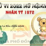 Xem Tử Vi Tuổi Nhâm Tý 1972 Năm 2022 Nữ Mạng