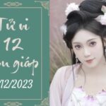 Tử vi vui 12 con giáp hôm nay ngày 9/12/2023: Dậu thiệt thòi, Mão chung thuỷ