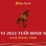 Tử Vi Tuổi Bính Ngọ Năm 2022 - Nam Mạng 1966 Chi Tiết