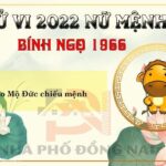 Xem Tử Vi Tuổi Bính Ngọ 1966 Năm 2022 Nữ Mạng