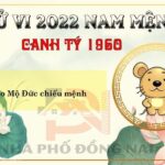 Xem Tử Vi Tuổi Canh Tý 1960 Năm 2022 Nam Mạng