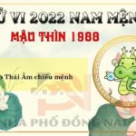 Xem Tử Vi Tuổi Mậu Thìn 1988 Năm 2022 Nam Mạng