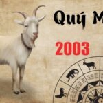 Xem tử vi tuổi Quý Mùi 2003 - Nữ mạng năm 2024 CHI TIẾT NHẤT