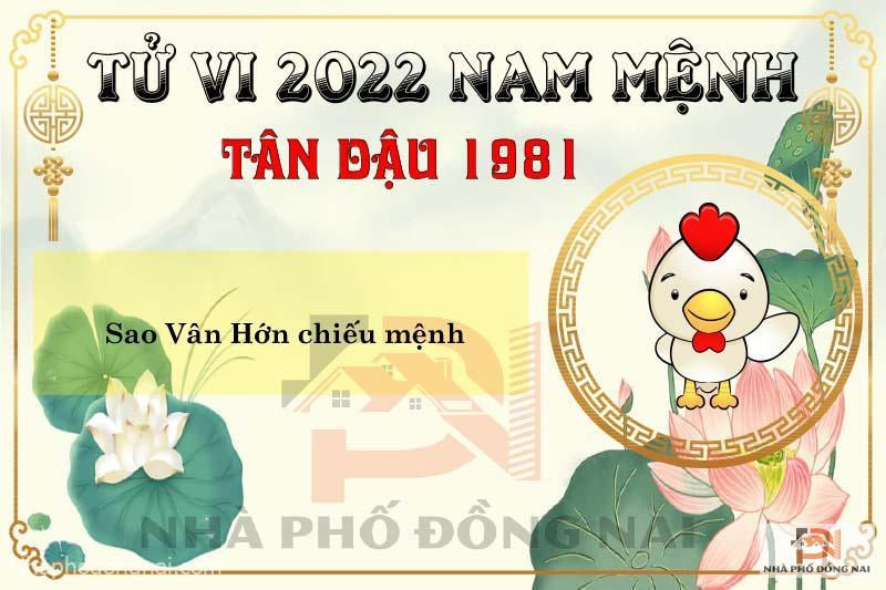 sao-chieu-menh-tuoi-1981-tan-dau-nam-2022-nam-menh