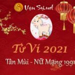 Tử Vi Tuổi Tân Mùi 2021 - Nữ Mạng Sinh Năm 1991 Chi Tiết
