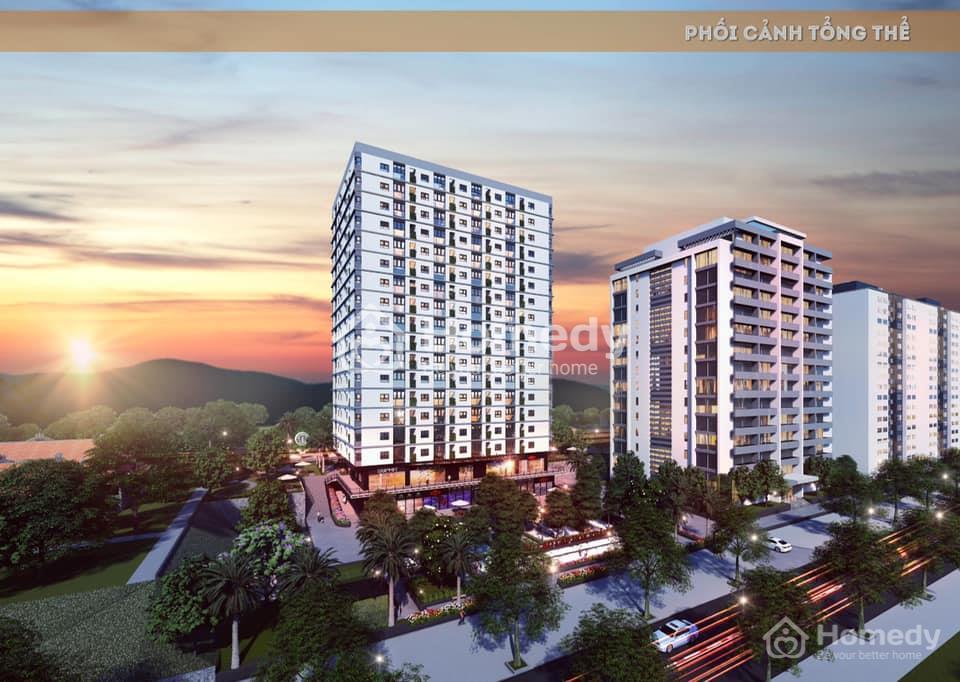 Tổng quan về dự án Chung cư Hòa Khánh Đà Nẵng